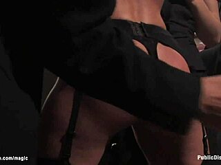 Bold Vixen Suspended for All