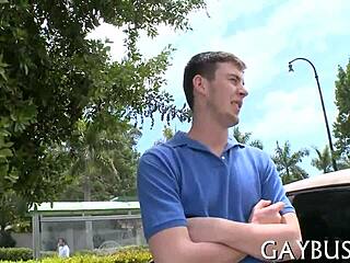 homo sex encounter on xvideos