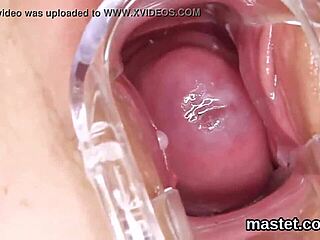 Czech beauty's bold toy thrill