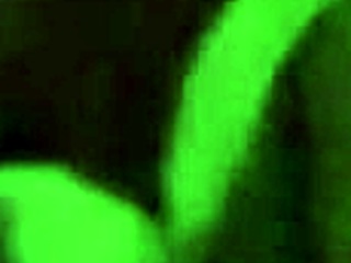 Blonde Girlfriend Fucked Hard with Buddy