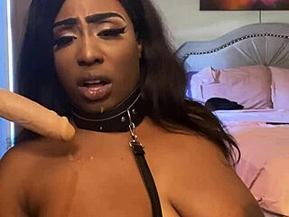 Lexo Butterfly Sucks Cock Off the Wall