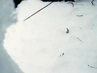 japanese white cat myaa’s snow sculpture art