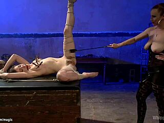Dominatrix Rules BDSM Lovers
