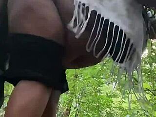 Bold Ebony Force Rocks Wild Forest Scene