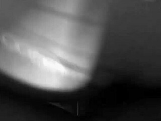 Roxy Sucks Dildos While Fucked Doggy
