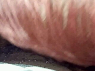 sloppy dick sucking on her cozy couch