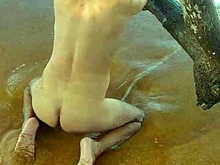 Latina Shemale Ladysilva Ignites Beachside Desire