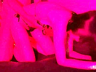 Lazycatdoll’s Punk Jeans Fingering Display