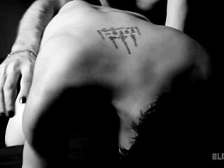 Raw Painful Anal Hits Close-Up Hard