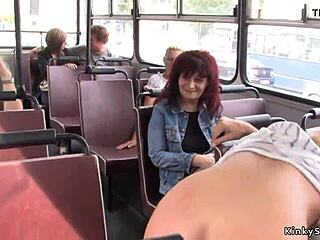 seen a chestnut babe fucked on bus?