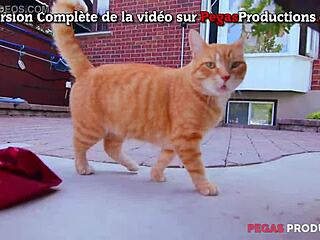 my hilarious collection of pegas productions bloopers from quebec sex scenes