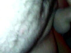 Dayzee is sucking my cock deepthroat as amateur to get it hard.