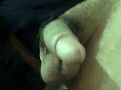 What Secrets Hide in This Gay Peludo Encounter?