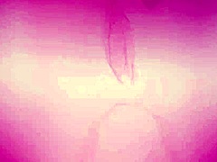 Laplace Collect Features Intense Creampie In Missionary Position