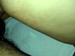 the video captures an ass in everyday motion