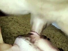 paulista encontra carioca nas ruas de são paulo e arrasta para casa teaser