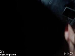 Discovering New Adventures with Vietnamese Beauty