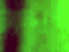 My THAI STEPSISTER, a LESBIAN, WANTS to FUCK ME!