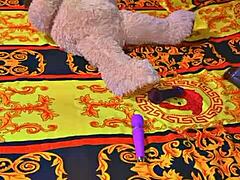 Sundaydogood614 Shares Homemade Update On October 20, 2024