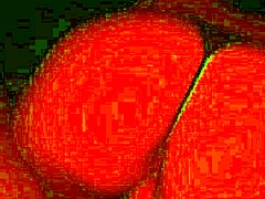 专家吸我大鸡巴的丰满大奶翘臀骚货