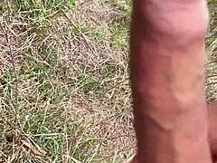 outdoor thrill as i jerk my big cock in public with ladies watching from afar