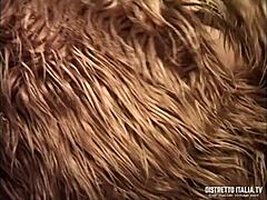 i dressed as big bad wolf broke into villa and fuked the maid's ass