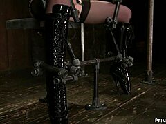 Chained blindfolded slave punished with rough whipping and caning in garage by lezdom mistress