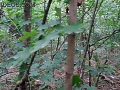 What happens when two women explore desires in a secluded forest setting, risking exposure outdoors