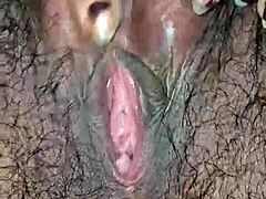 Desi Close-Up Hairy Pussy