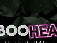 What Happens When Cory Chase Faces Off Against Huge BBCs in Gangbang Championship Season 2