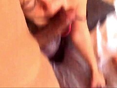 Oh wow, that french amateur in satin lingerie and corset gets rimmed and doggystyled hard!