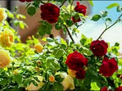 in this bangla sex story, a cute wife shares romantic fucking with her friend in part 2