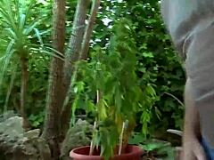 spicy latina in stockings squirts from intense fingering and anal