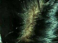 wanna see me pound my stepsister's tight ass hard?