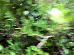 Clitlicker662's update 40 features outdoor flashing orgasm img 1437