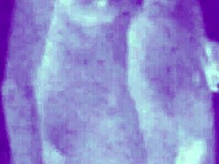 vintage erotic art captures timeless sensual allure